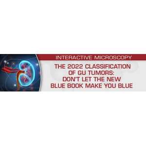 USCAP The 2022 Classification of GU Tumors: Don’t Let the New Blue Book Make You Blue (CME VIDEOS)