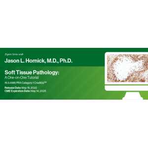 Expert Series with Jason L. Hornick, M.D., Ph.D.: Soft Tissue Pathology: A One-On-One Tutorial 2022 (CME VIDEOS)