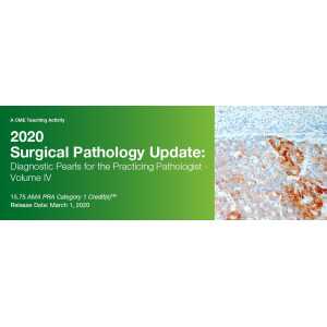 2020 Surgical Pathology Update Diagnostic Pearls for the Practicing Pathologist Vol. IV