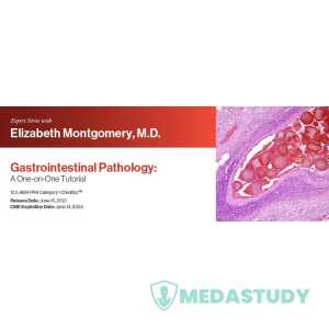 Expert Series with Elizabeth Montgomery, M.D.: Gastrointestinal Pathology: A One-On-One Tutorial 2021 (CME VIDEOS)