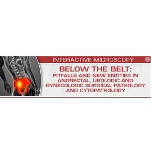 USCAP BELOW THE BELT: Pitfalls and New Entities in Anorectal, Urologic and Gynecologic Surgical Pathology and Cytopathology 2023 (CME VIDEOS)