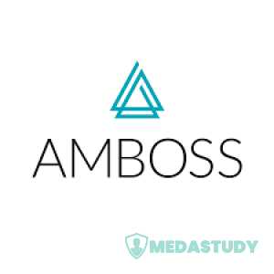 Amboss USMLE Step 2 CK (Updated August 2025) Html File