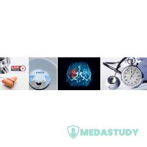 Harvard Neurological Emergencies 2025 (Videos + Slides PDFs)