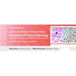 2025 Jason L. Hornick, M.D., Ph.D. Expert Series – Practical Soft Tissue Pathology -DocmedED