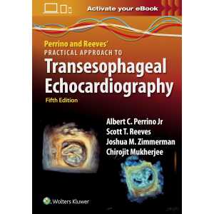 Perrino and Reeves’ Practical Approach to Transesophageal Echocardiography (EPUB)