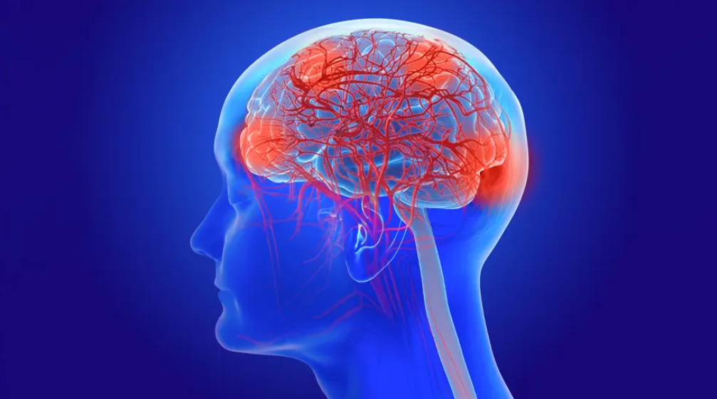 University of Miami Thinking Through Alzheimer's: Exploring Cognition, Psychopharmacology and Geriatric Psychiatry 2026