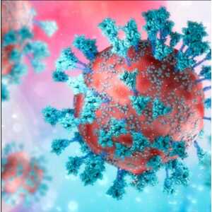 The Brigham Board Review and Comprehensive Update in Infectious Diseases 2026